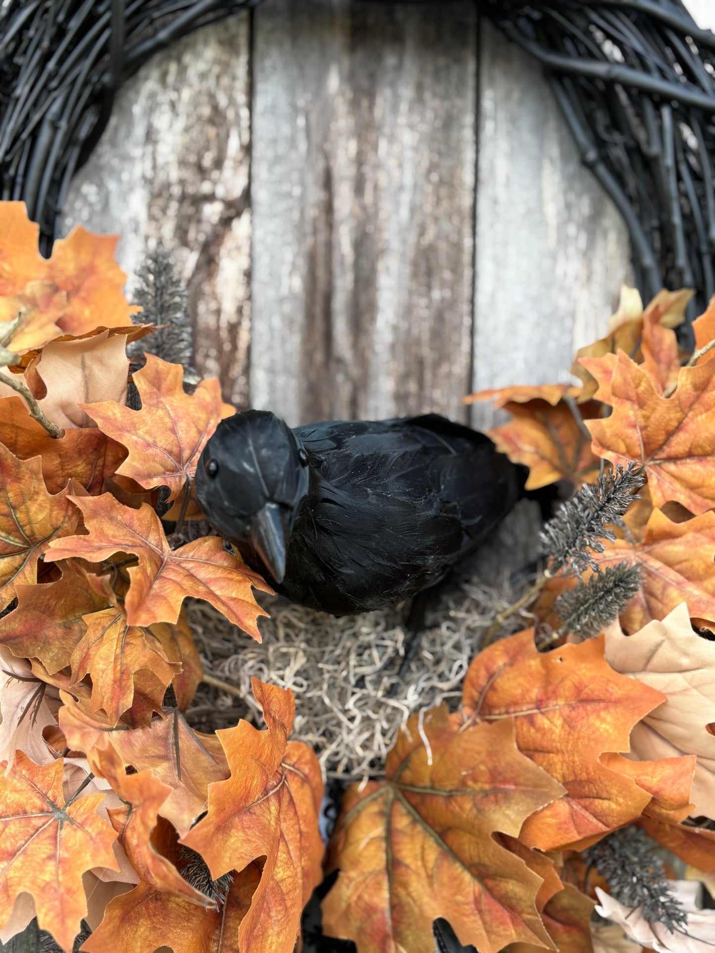 Raven Wreath