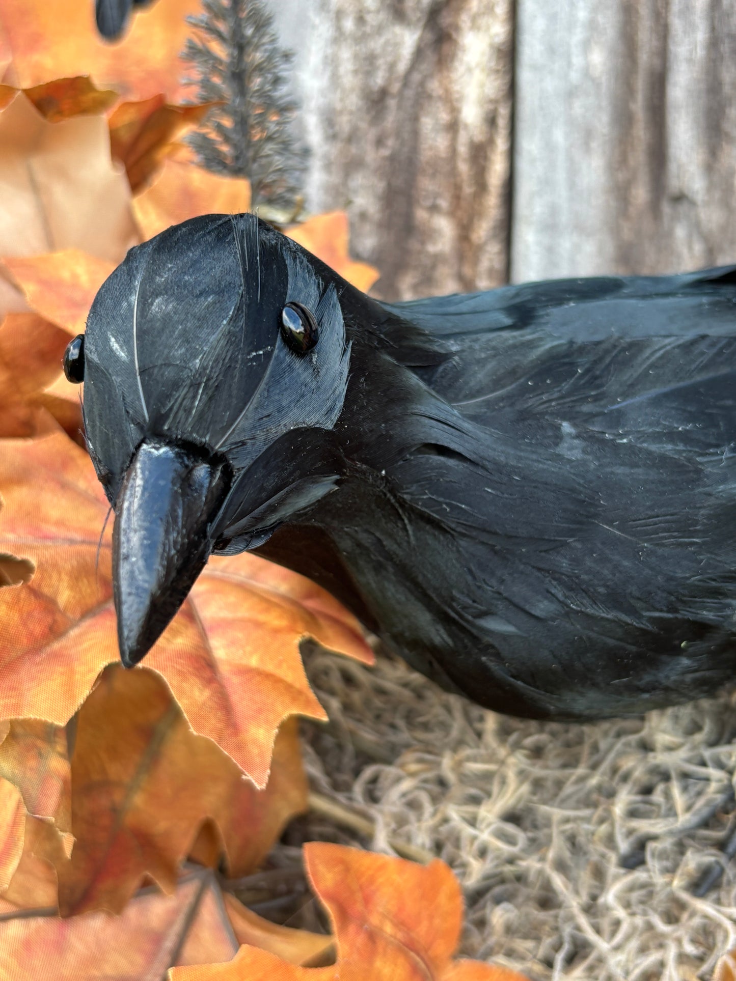 Raven Wreath
