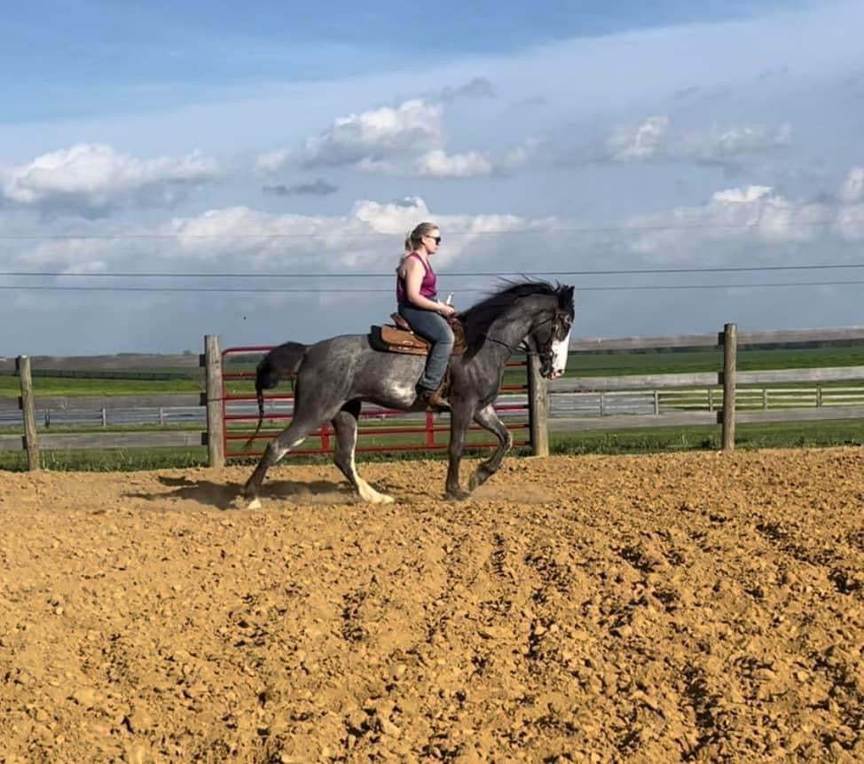Farmhouse Spring Centerpiece