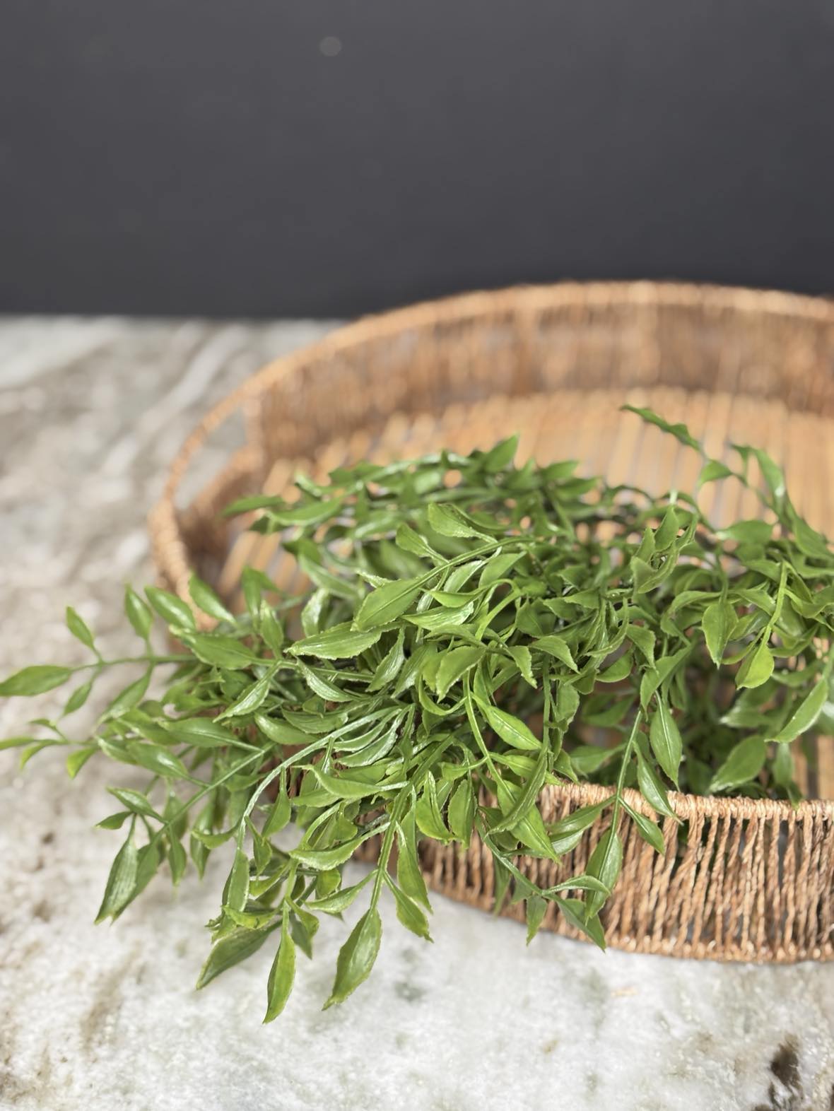 Real Touch Italian Ruscus