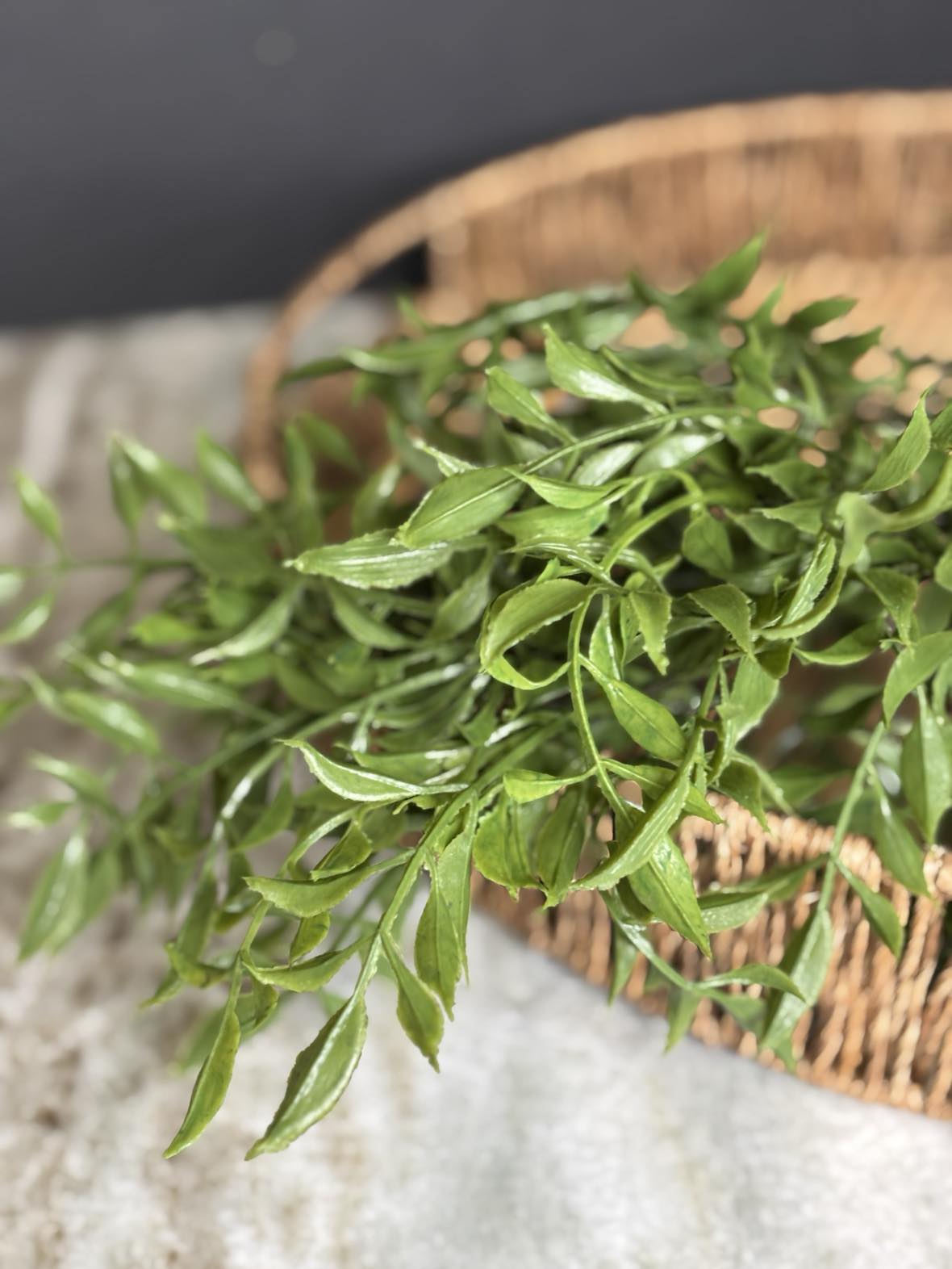 Real Touch Italian Ruscus