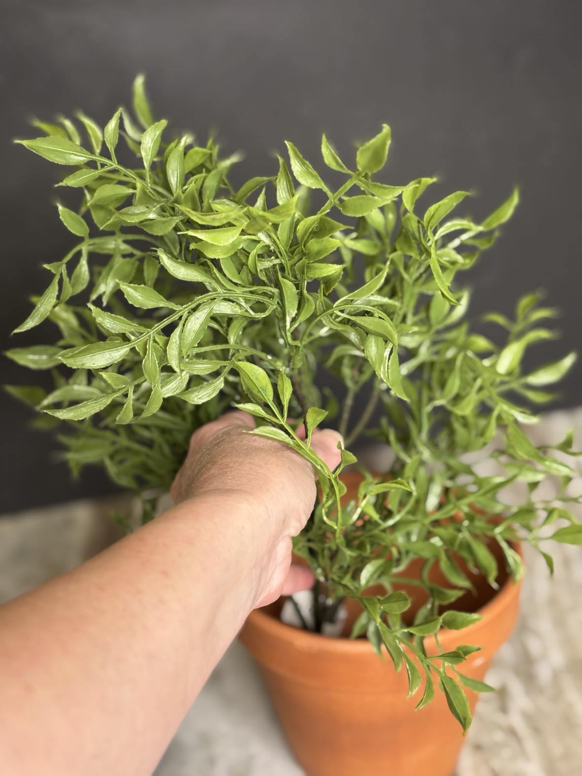 Real Touch Italian Ruscus