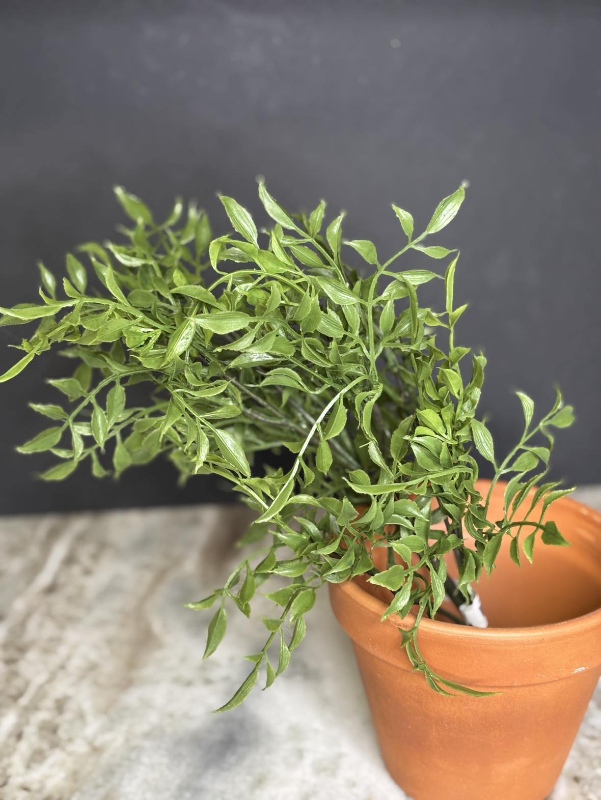 Real Touch Italian Ruscus