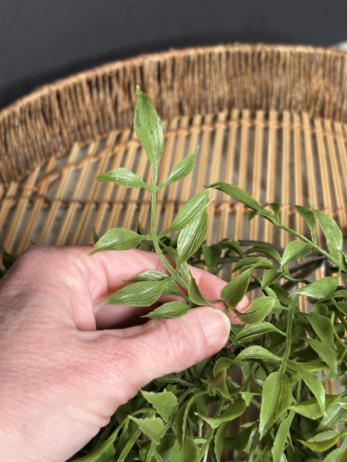 Real Touch Italian Ruscus