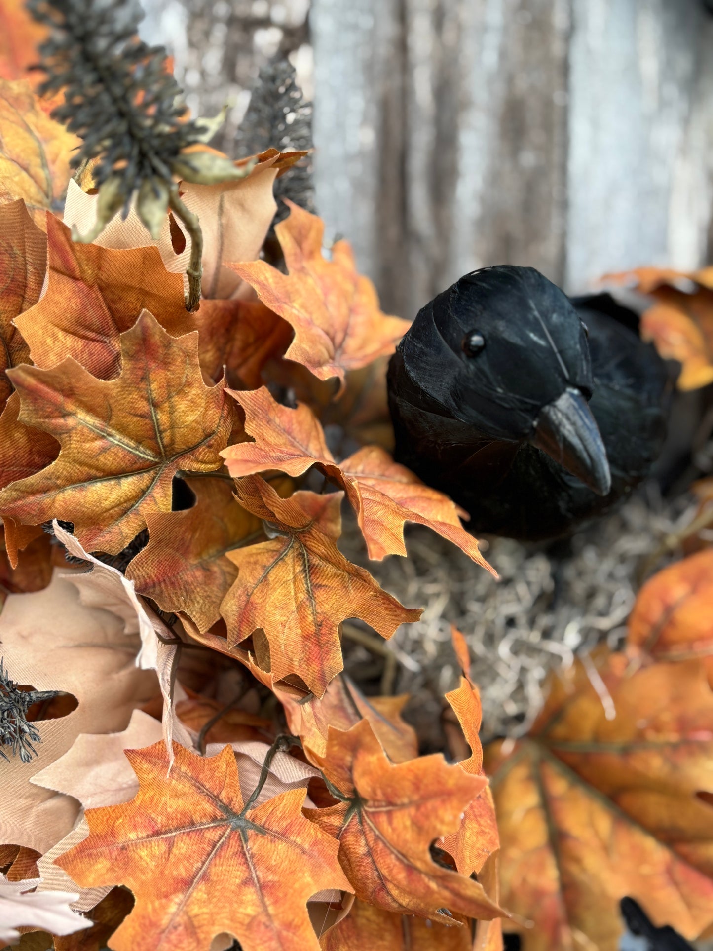 Raven Wreath