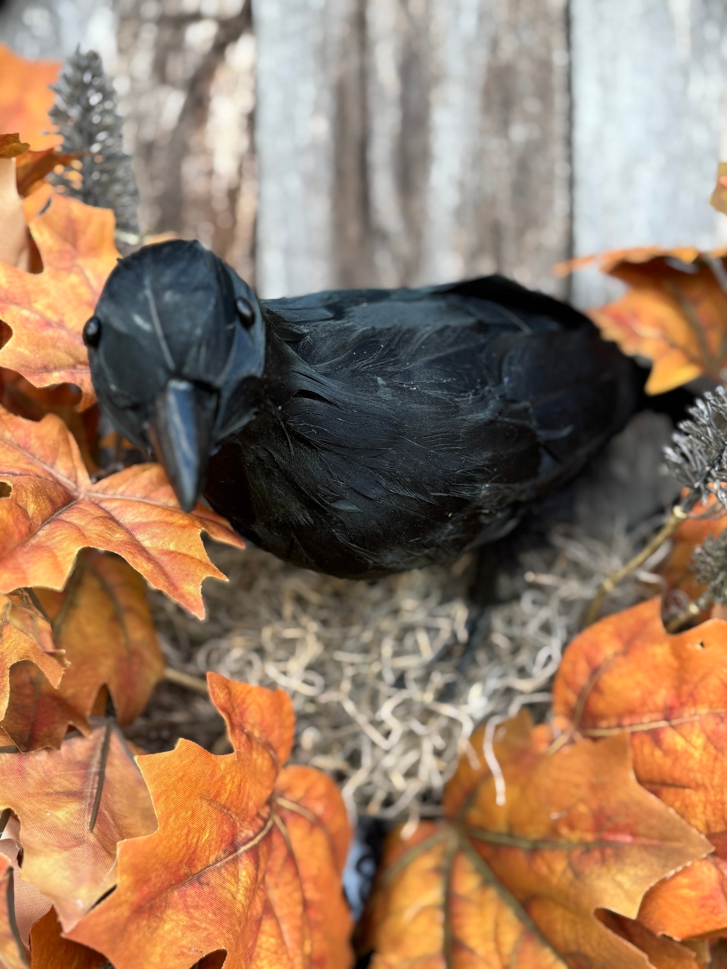 Raven Wreath