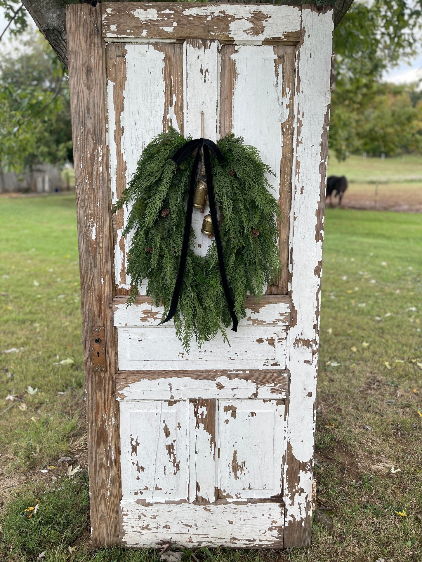 Aspen Wreath PRE-ORDER $50 DEPOSIT - See description for wreath prices