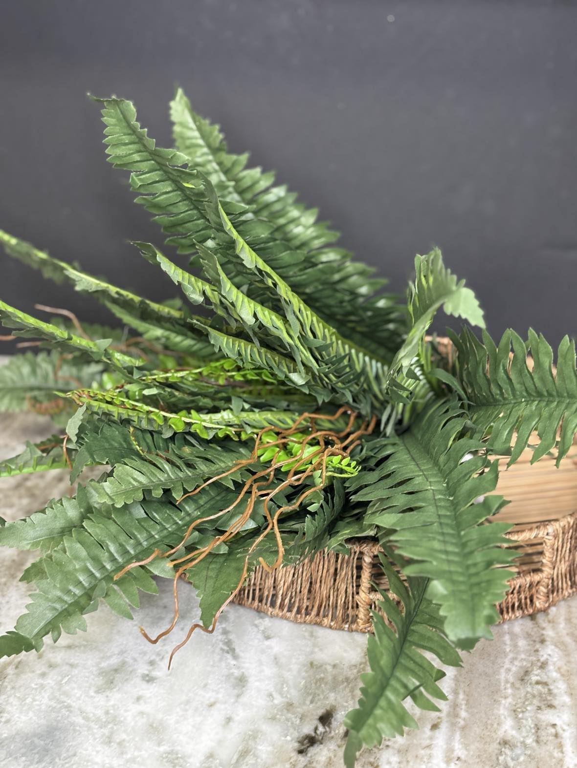 Boston Fern Bush