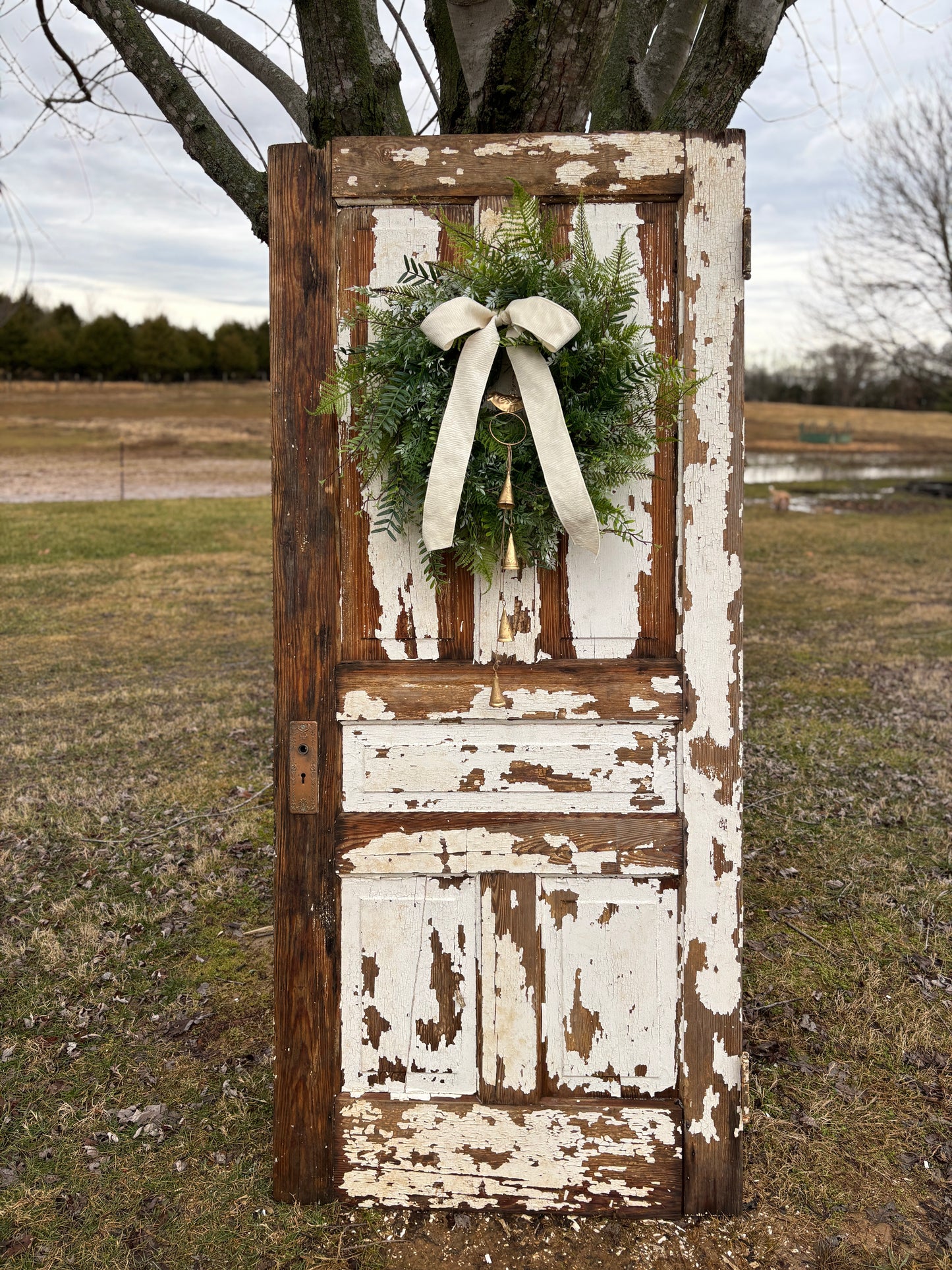 Robin Wreath