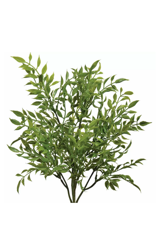 Real Touch Italian Ruscus